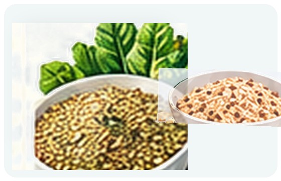 Naturally gluten-free grains and starches illustration