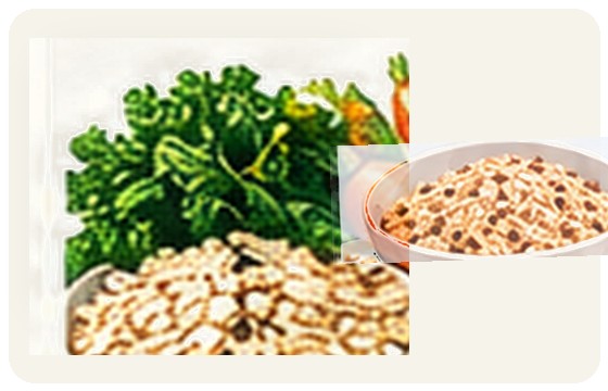 Soluble-fiber foods illustration