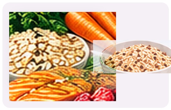 Carbohydrates based on tolerance illustration