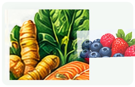 Vegetables and fruits illustration
