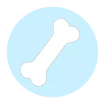 Bone Health