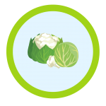 CRUCIFEROUS