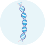 DNA & RNA