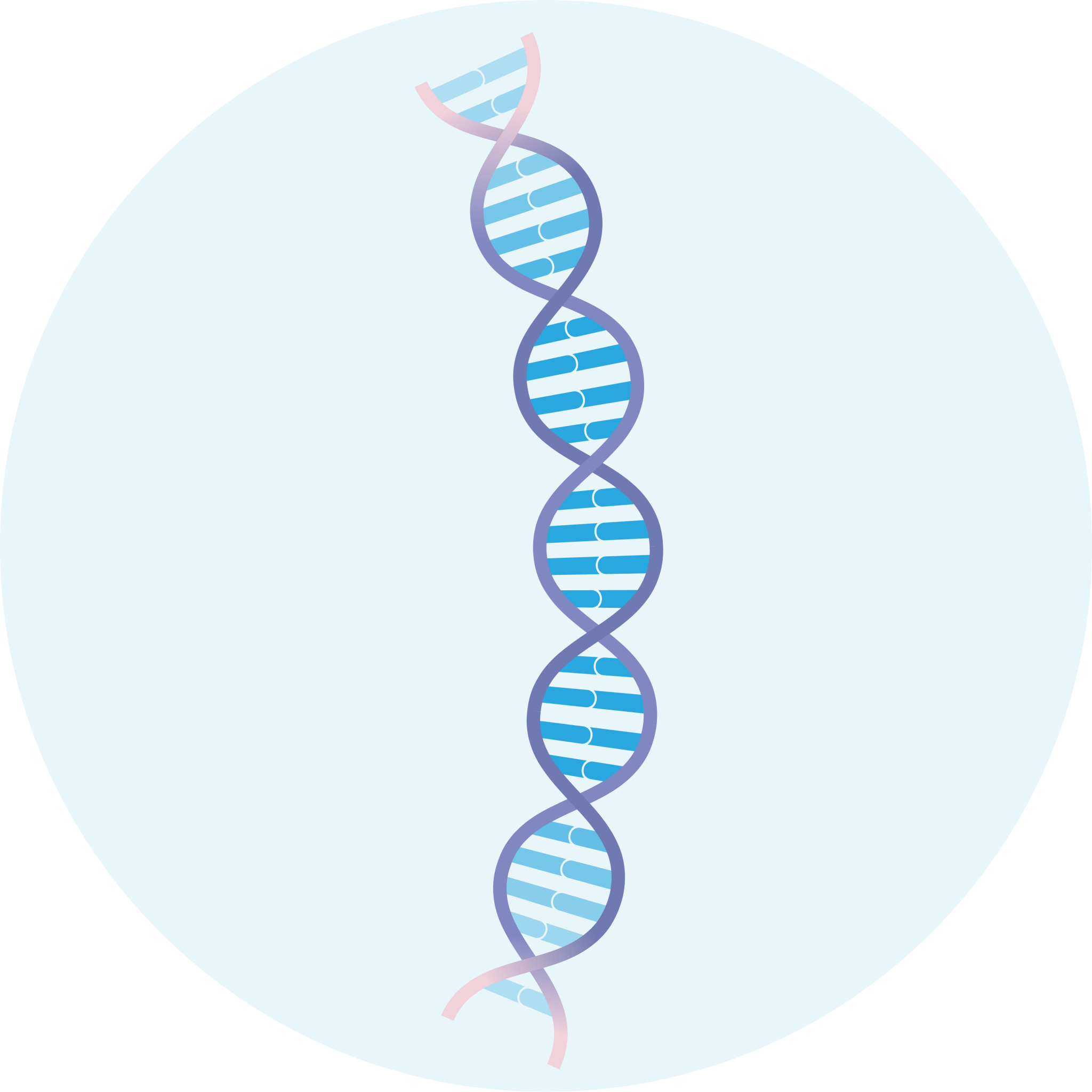 DNA & RNA