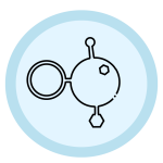 SEX HORMONES