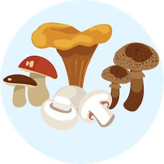 MUSHROOMS