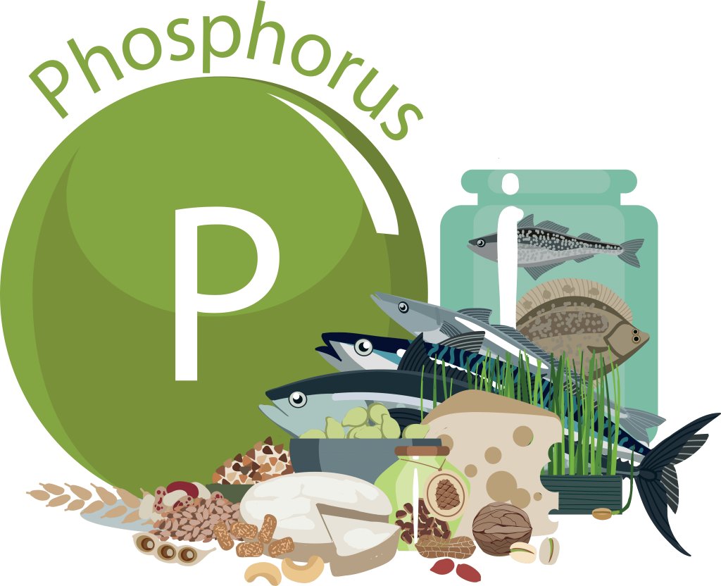 Phosphorus