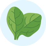 Plant Iron 1
