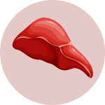 LIVER DAMAGE