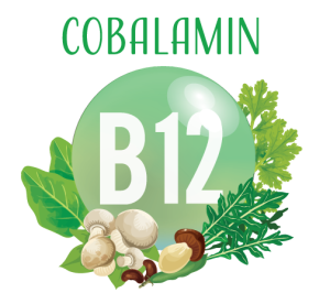 Vitamin B12