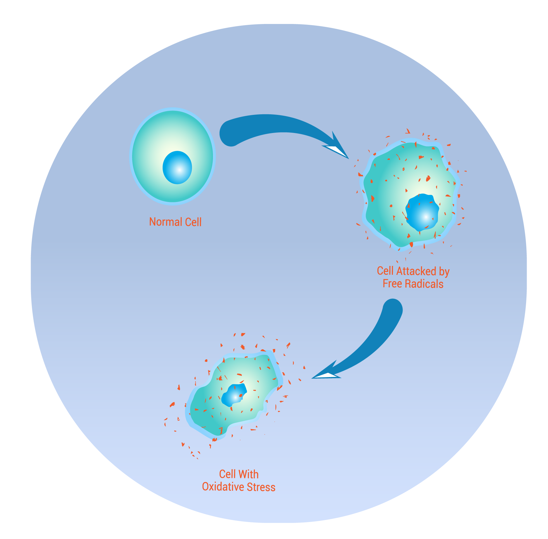 Chronic inflammation or oxidative stress